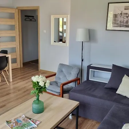 Apartament Okno Na Zamek Malbork Exterior foto